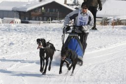 Lenk 2012 SM
